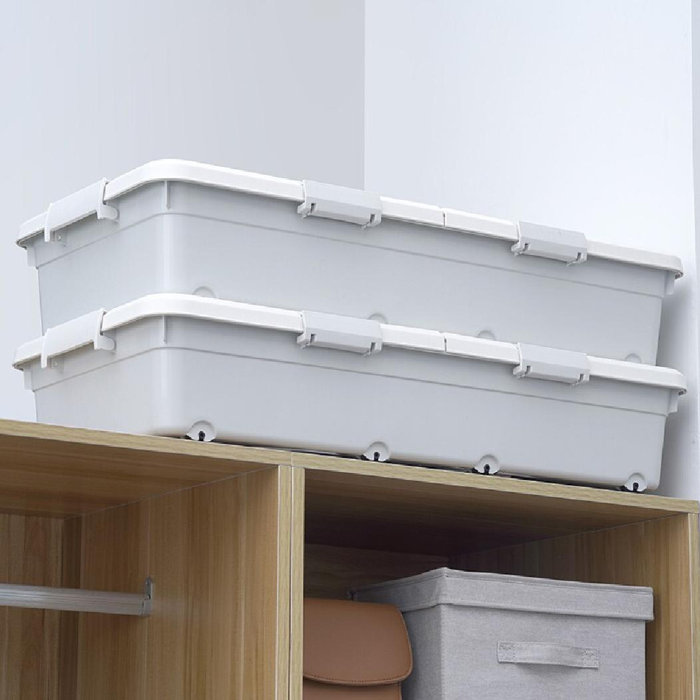 Umber Rea Flat UltraThin Plastic Underbed Storage Set Wayfair